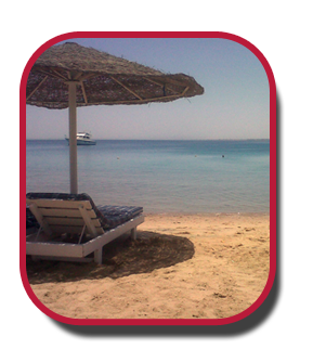 Hurghada - full of varieties